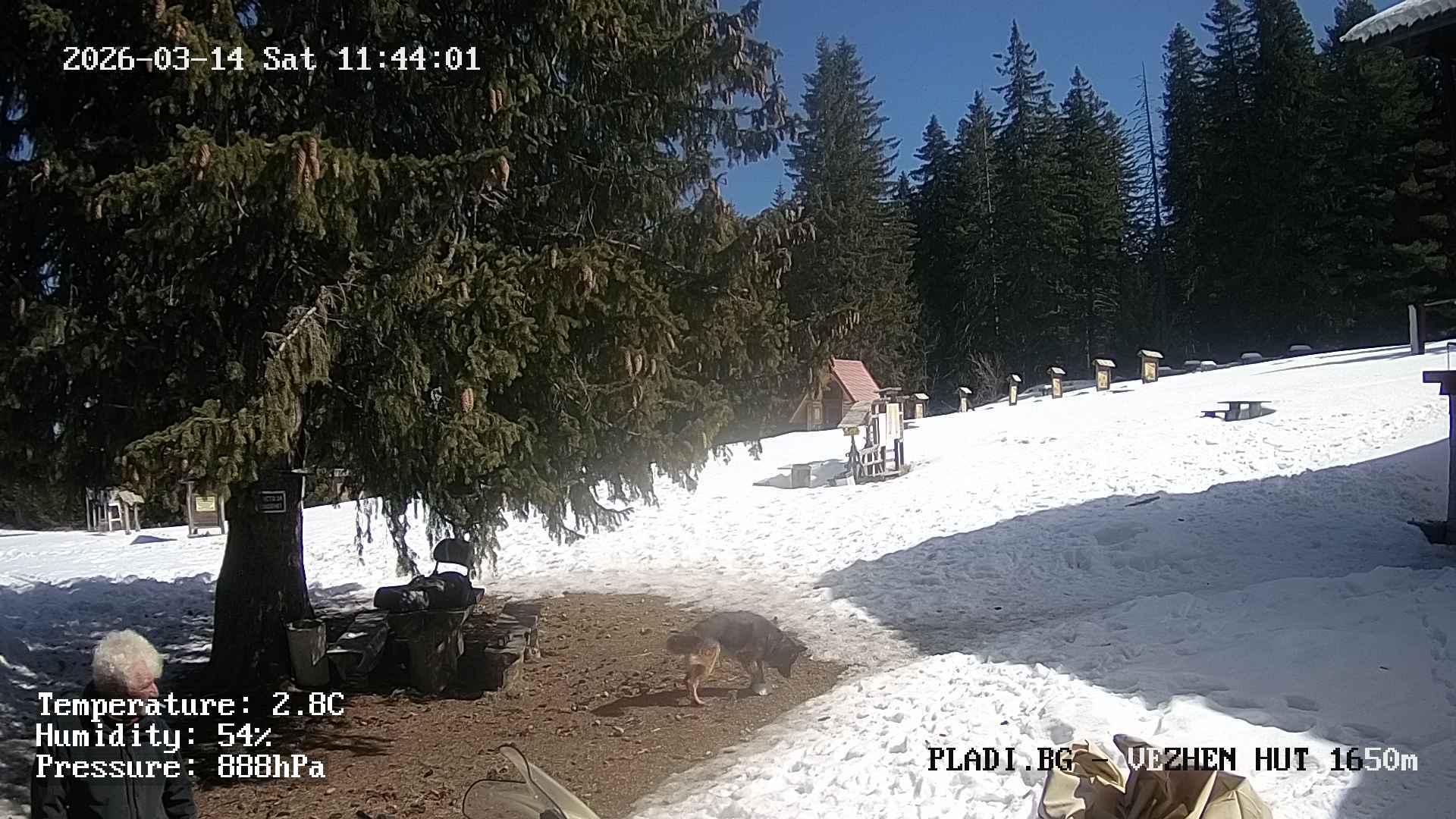 Хижа „Вежен“ - 1 650 m